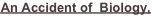shapeimage_14_link_1